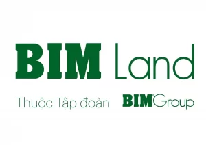 logo BIMGroup 01